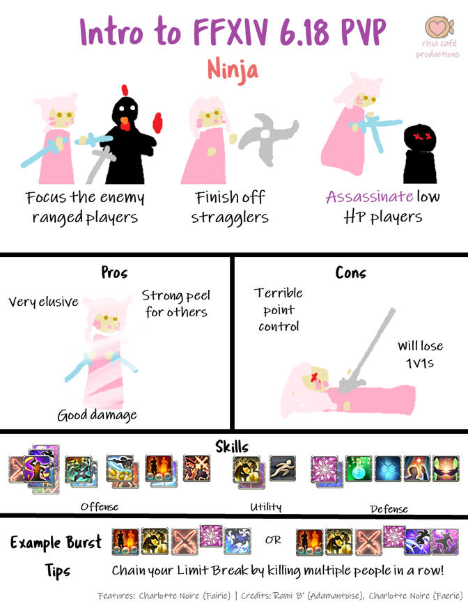 Ninja Guide